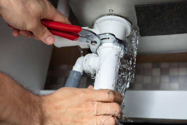 Best Mold removal after water damage  in Sparta, GA