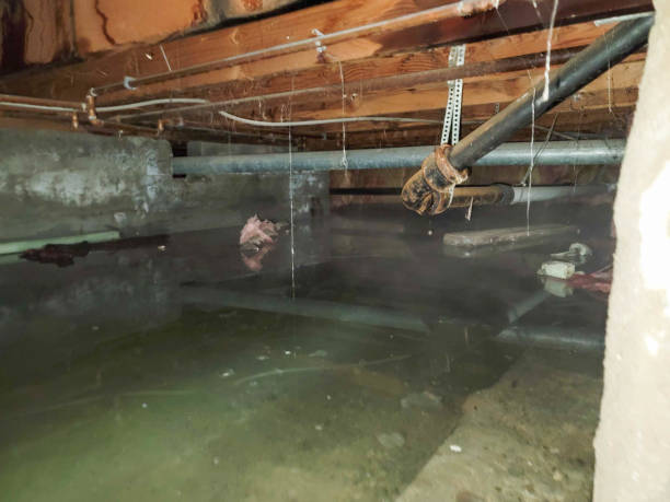 Best 24/7 water damage repair  in Sparta, GA