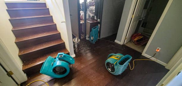 Best Water damage contractors near me  in Sparta, GA