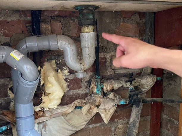 Best Carpet water damage restoration  in Sparta, GA