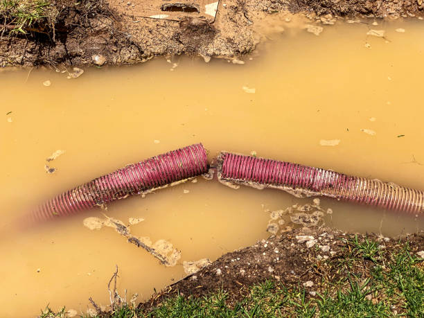 Best Professional water damage repair  in Sparta, GA