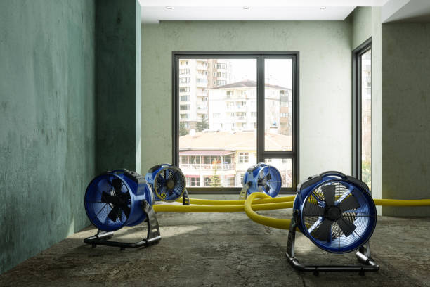 Best Professional water damage repair  in Sparta, GA