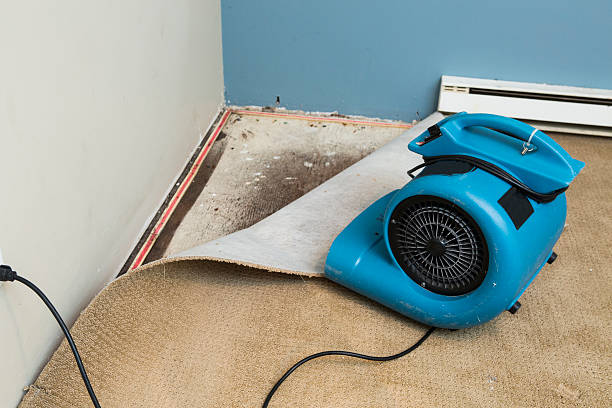 Best Ceiling water damage repair  in Sparta, GA